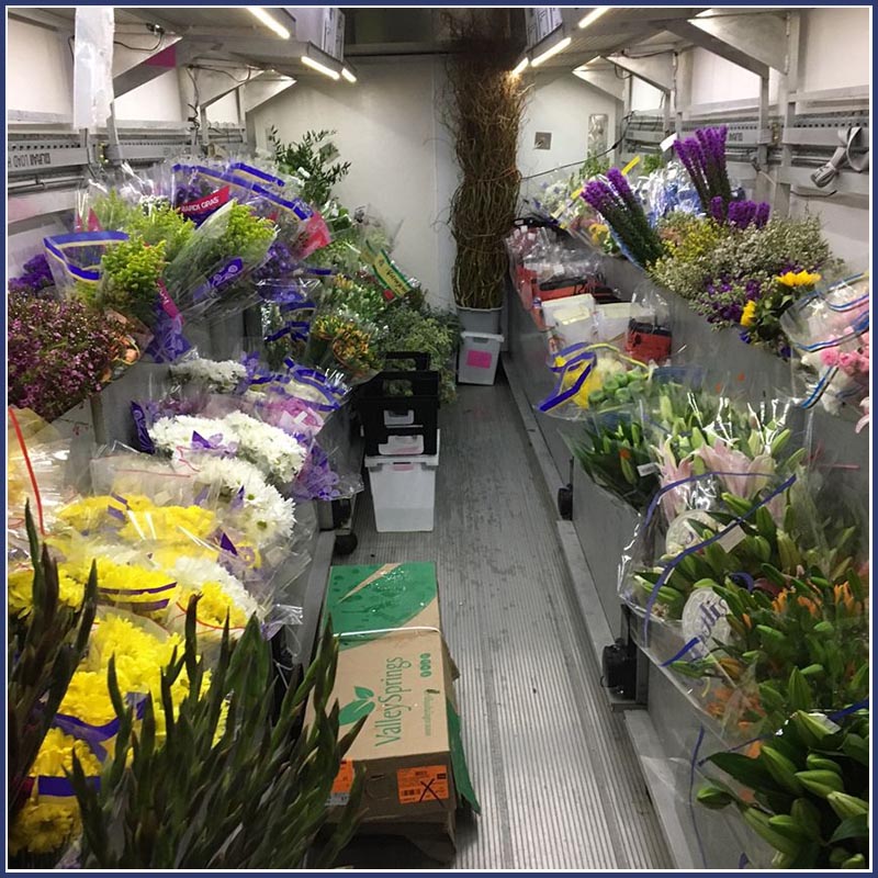 Inside Truck Inside Truck