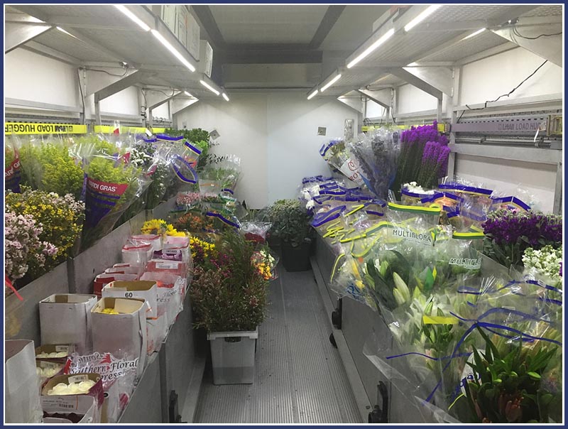 Inside Truck Inside Truck